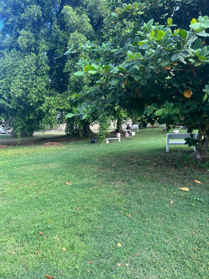 Comfort Rest Ocho Rios Zewnętrze zdjęcie